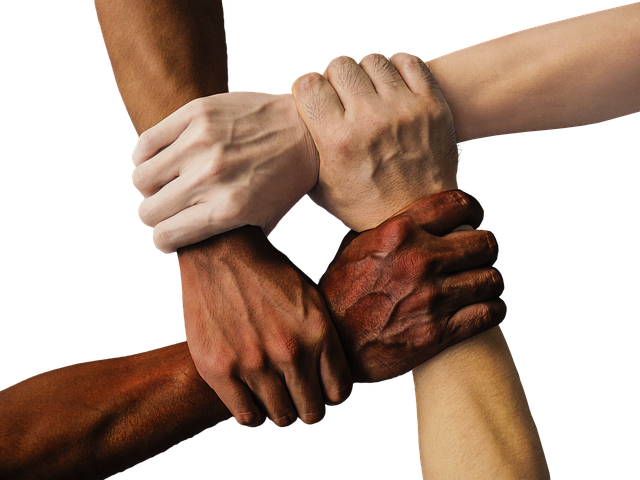 Team collaboration and innovation